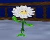 Animated Flower 2