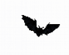 8 Vampire Bats ~ F/M