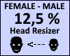 Head Scaler 12,5%