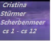 C. Stürmer Scherbenmeer