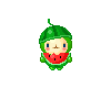 LiL Watermelon