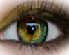 Kat Eyes