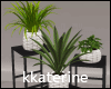 [kk]  Plants