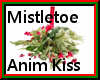 !5 Mistletoe Loving Kiss