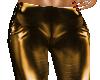 !C-GoldAzz Pvc Pants