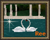 [R]LAKE SIDE SWANS