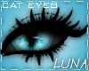 Blue Eyes-1 *Luna