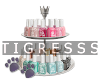 Nail Polish Tray