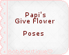 Papi's Give flower Poses