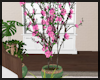 Sakura Plant V2 ~