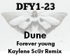 Dune Forever Young remix