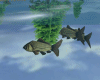 Fish Animated