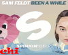 SAM FELDT - BEEN A WHILE