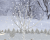 Winter Snow Light Tree