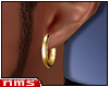 NMS- Gold Earring L