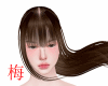 梅 Santhe brown