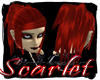 SYN-C-Lacey-Scarlet
