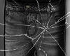 ✱denim