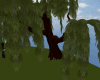 Tree2 Animated