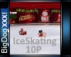 [BD]IceSkating 10P