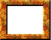 JDV Autumn  avi frame