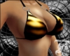 Golden Tiger Bikini