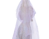 A~ Mom's Wedding Veil