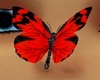 red nose butterfly