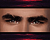 H | Sultan Brows