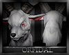 |O| Goddess Head