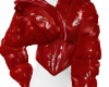 AK SELACHII PUFFER RED