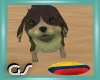 GS Colombia Frisbee/Dog