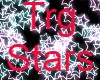 Stars Trg Stars