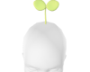 ðPucuk ðPucuk