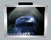 SEAHAWKS Framed #2