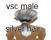vsc new male silver hair