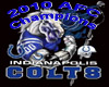Colts 2010 AFC Champions