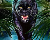 panther black
