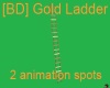 [BD] Gold Long Ladder