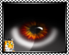 :Inferno Eyes: M/F