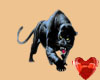 Panther breast tattoo(F)