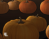 Many Pumpkins