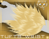 TuftsW Gold 3a Ⓚ