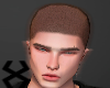 Buzz Cut Brown