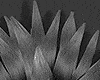 SpikeyHair-Silver/Grey-M