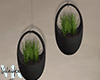 VK.Deco Plants/Villa