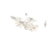 Play with Doves