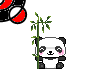{Lil' Panda}