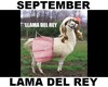 (S) Lama Del Rey (Lana)
