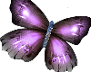(V) Butterflies 2